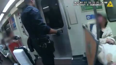 Illegal Immigrant Fare Jumper Freaks Out Makes a Deadly Mistake