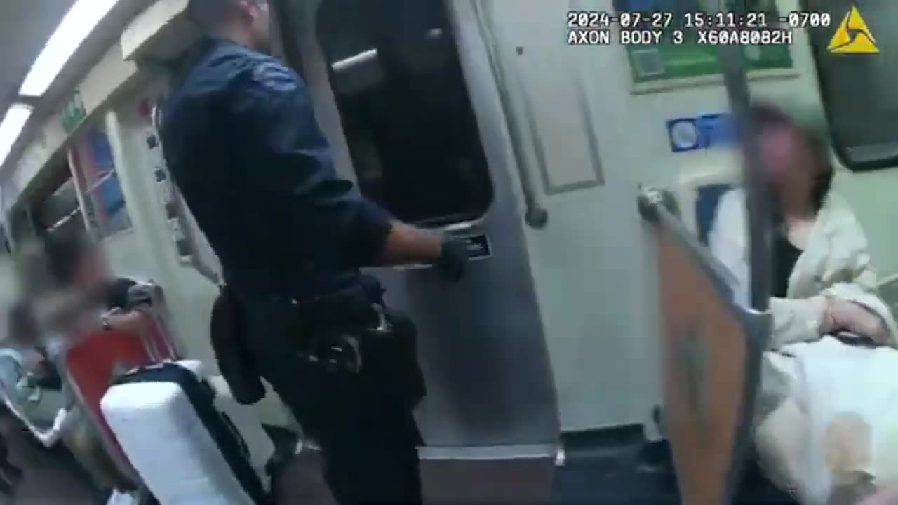 Illegal Immigrant Fare Jumper Freaks Out Makes a Deadly Mistake