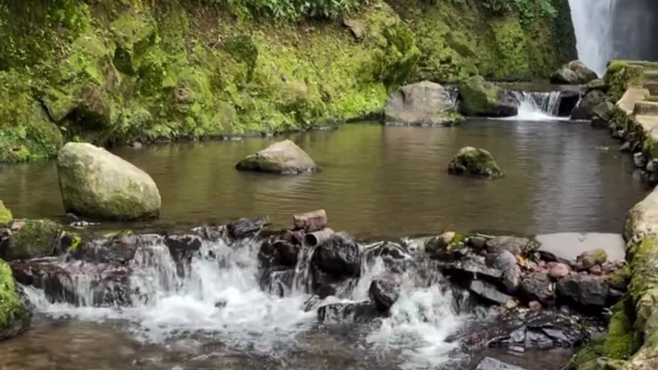The beauty of the waterfall in the forest