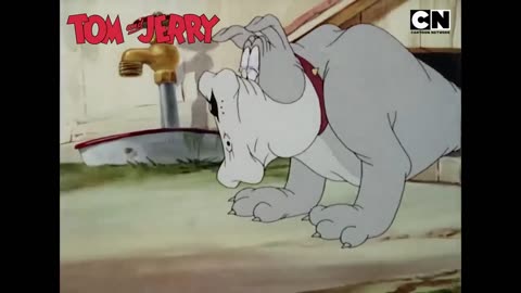 Tom and Jerry cartoon 80's #28
