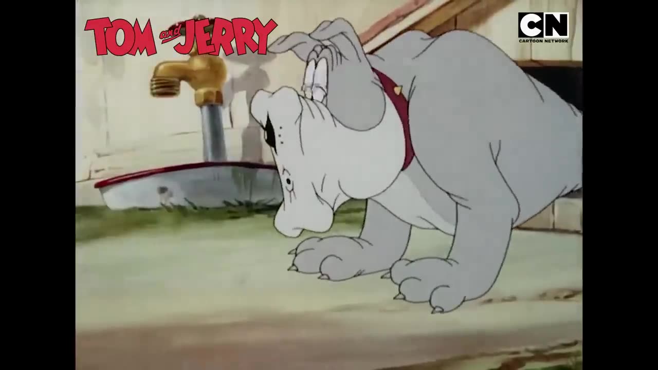 Tom and Jerry cartoon 80's #28