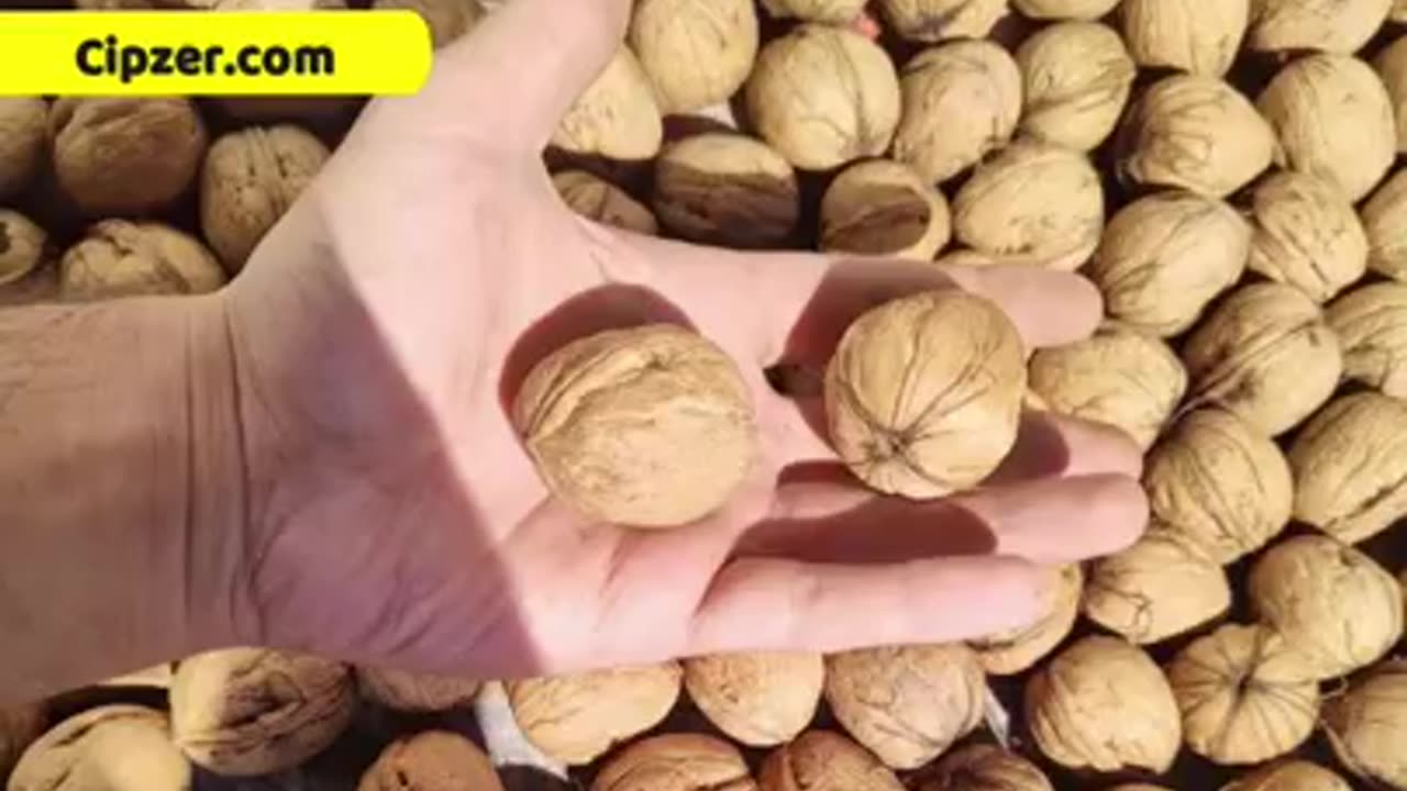 Dry Fruit Natural Power Capsule 💪