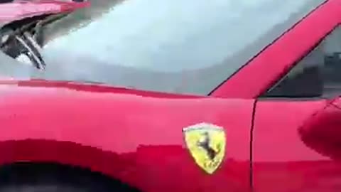 Red Lambo
