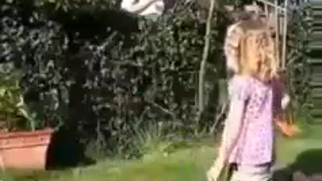 Shorts - Burying A Goldfish