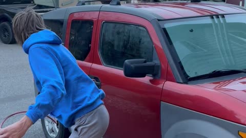 Cinnamon Black Bear Released From Big Sky Car