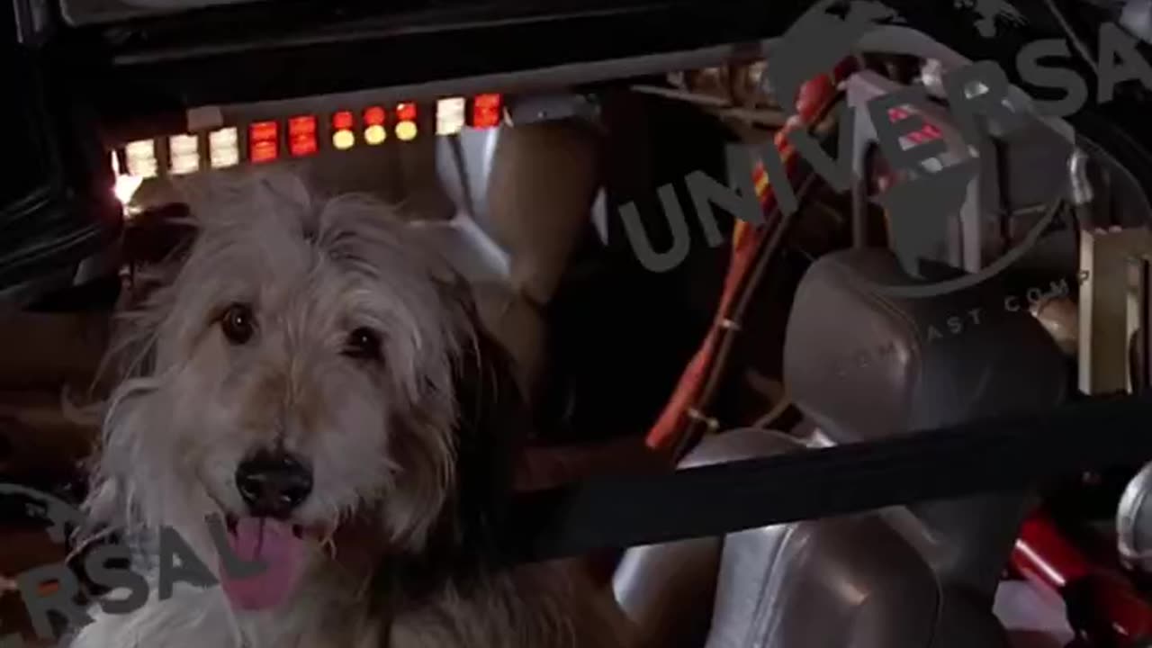 Back To The Future Plot Hole