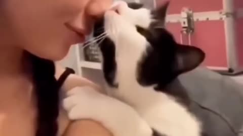 This Is What Ultimate Relaxation Looks Like 🐱🎬