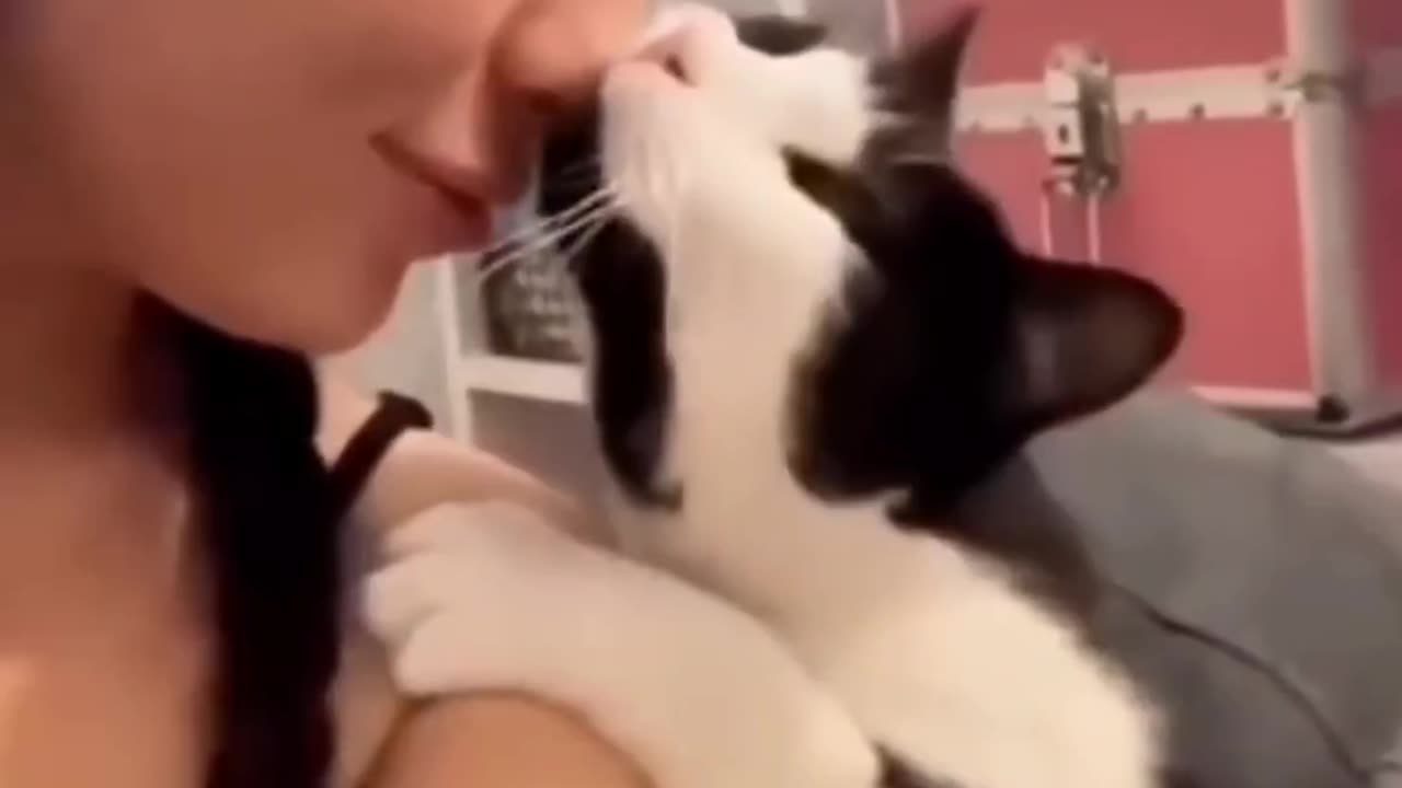 This Is What Ultimate Relaxation Looks Like 🐱🎬