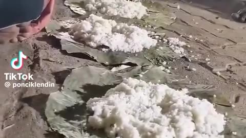 🤣🤤 Wait Until You See THIS Dinner! | FunFM