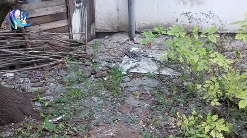 Les FAU attaquent la RPD le jour de la libération du Donbass