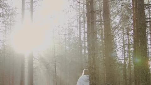 Daily Horoscope | Taurus 🌟