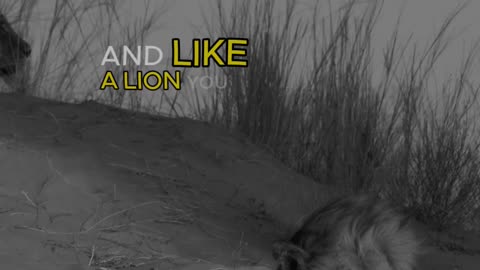 Real Strength Doesn't Need Applause #mindset #motivation #shorts