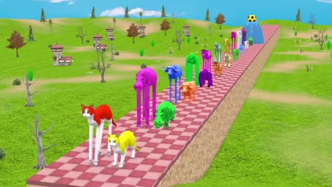 Long Slide Game With Cow Elephant Gorilla Hippopotamus Tiger - 3d Animal Game - Funny 3d Animals