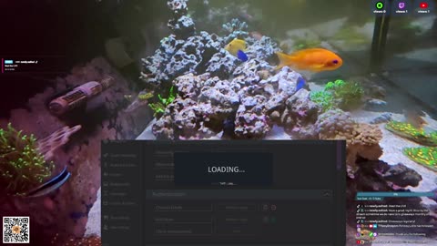 24/7 Real Live Reef Stream