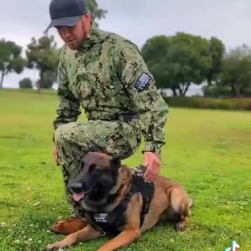 Pre Dawn Raids are Much Better with These Rumblers !