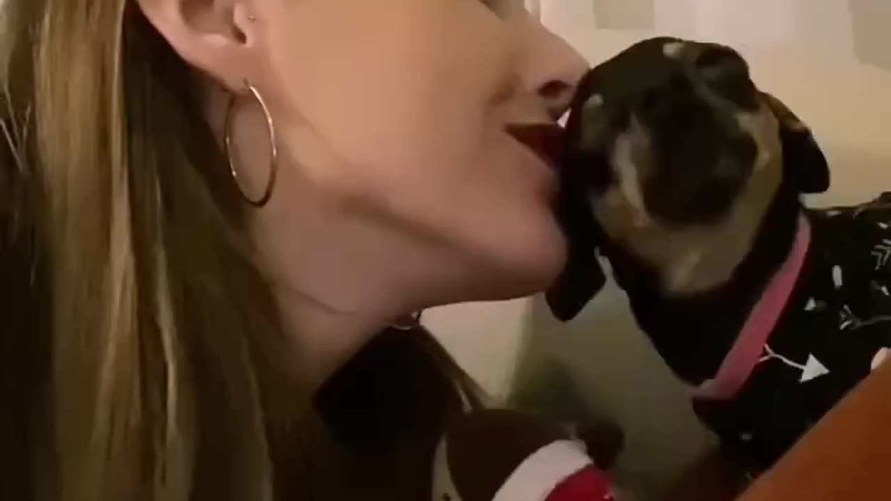 Dogs kissing there best friends