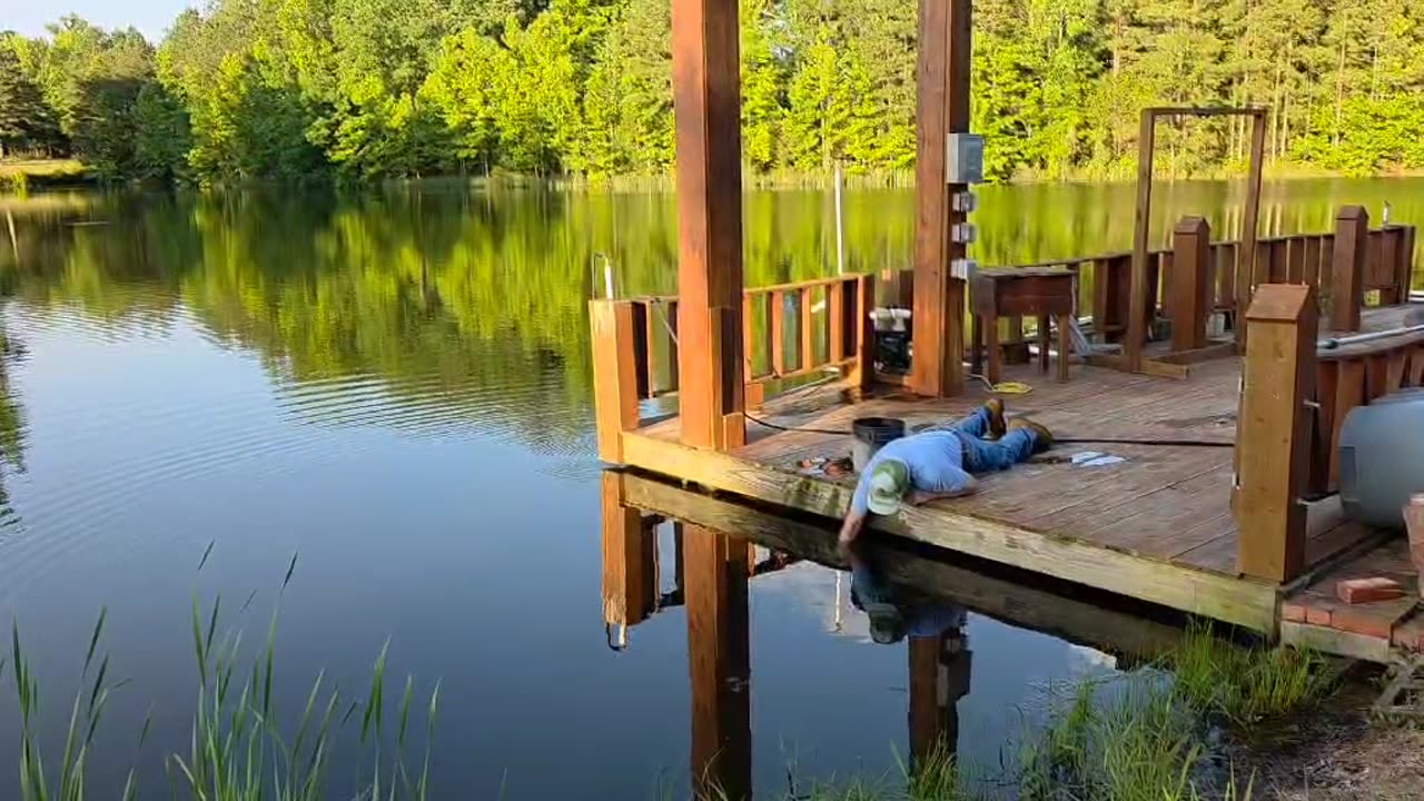 Bass Fish Caught By Hand