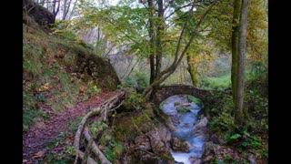 Lord Winter - The Woods
