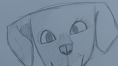 The dog