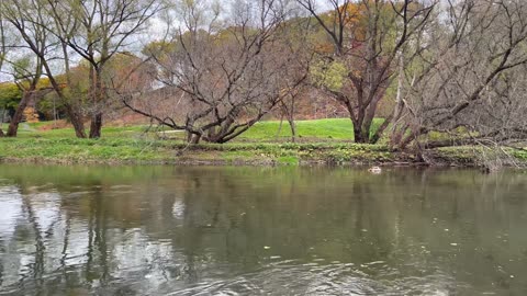 Day at the park in Toronto