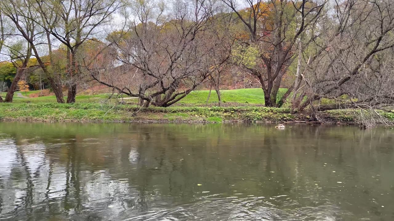 Day at the park in Toronto