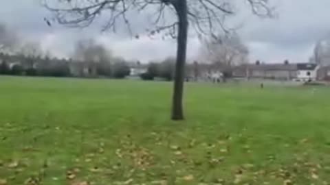 Good Morning let’s walk and talk - Ay_audits