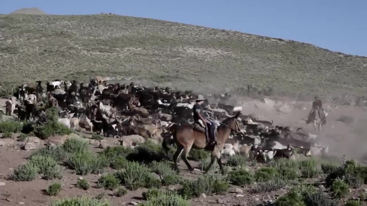 Arreo - Película documental completa