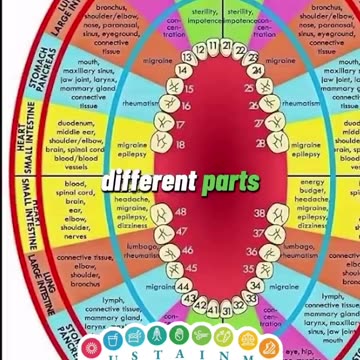 Every tooth is connected to parts of your body. Make sure to look after them.