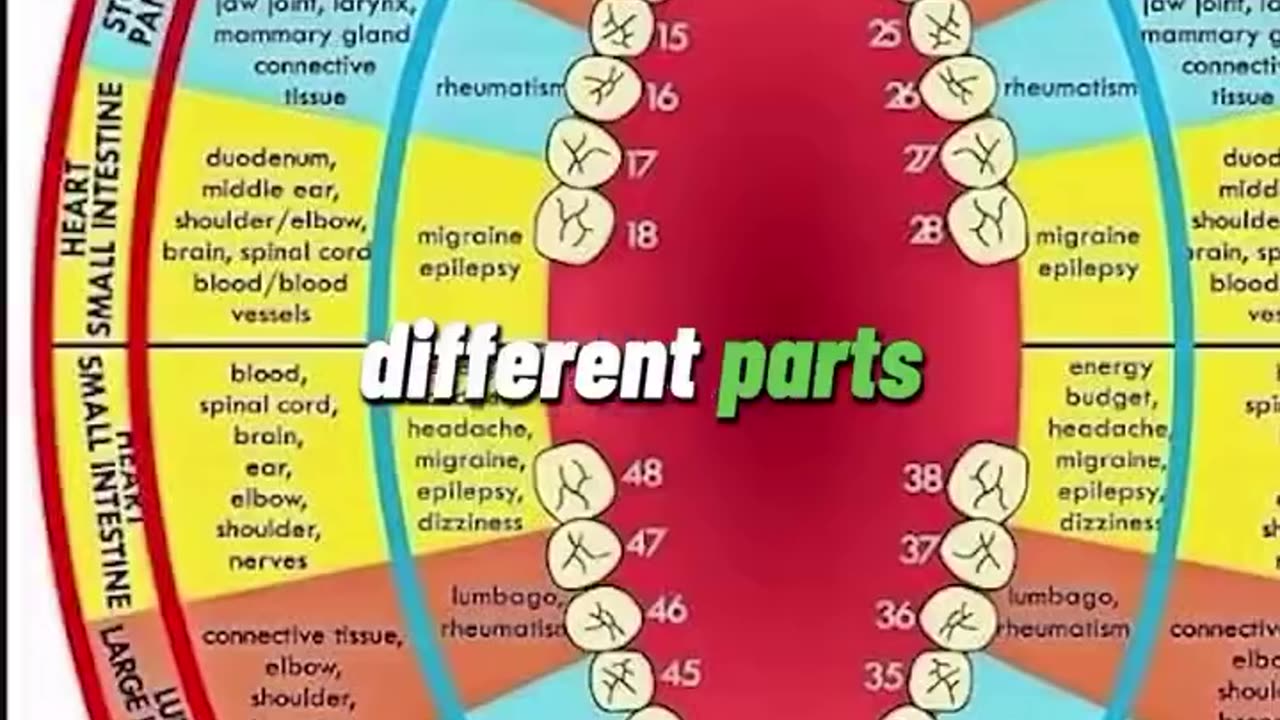 Every tooth is connected to parts of your body. Make sure to look after them.