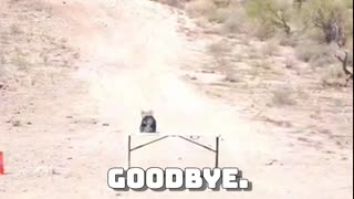 .338 Lapua VS Level 3+ Plate Body Armor