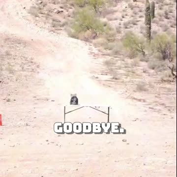 .338 Lapua VS Level 3+ Plate Body Armor