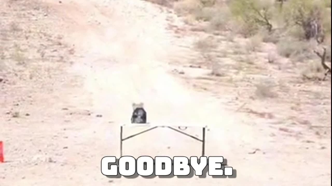 .338 Lapua VS Level 3+ Plate Body Armor