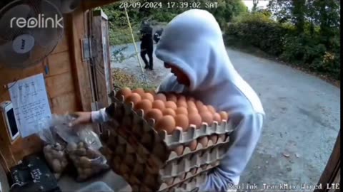 Kurds in Canada destroy high trust society