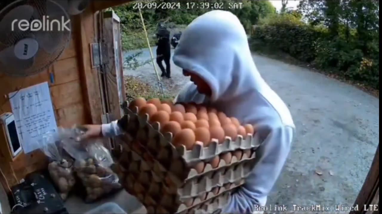 Kurds in Canada destroy high trust society