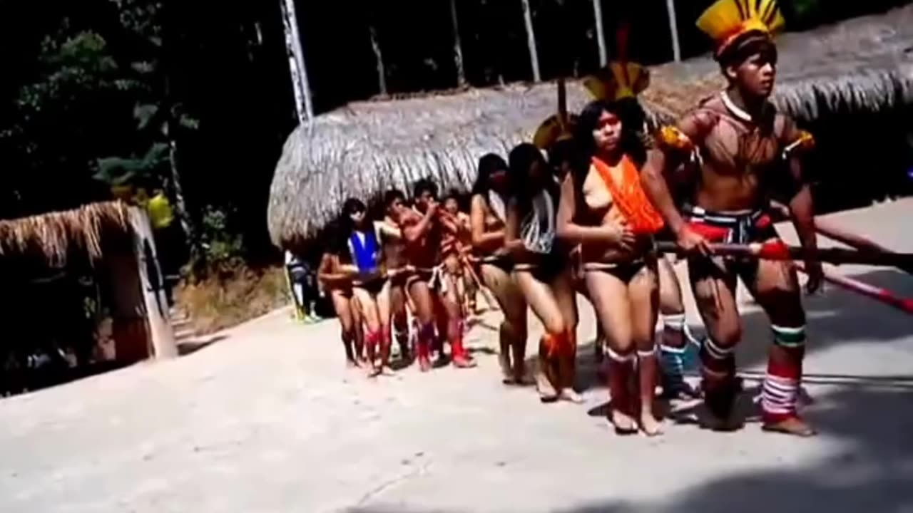 O poder, o lucro e a destruição — o outro lado das usinas.