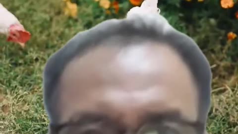 (16). Reaksi Video Viral