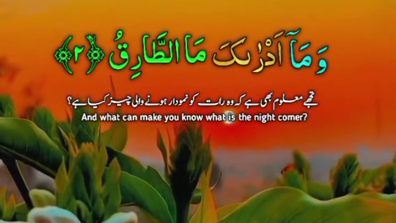 Surah At-Tariq – The Night Visitor and the Truth Revealed