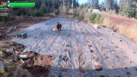 FARMSTEADING Isolated ALASKAN Village in the middle of the WOODS Building a Farm Grocery Store / Living the Dream | !Real !Homestead