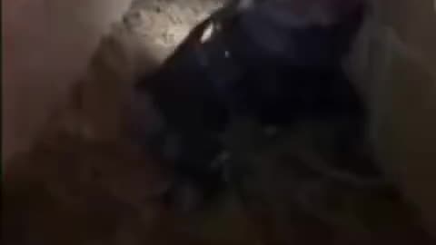 Flashback: Filedate 18 Jan 2024: If this footage is as alleged, from the Brooklyn Heights