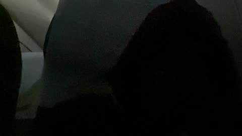 on the plane, part two