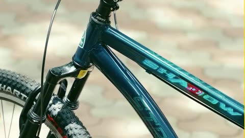 29 Inch Bicycle for Speed, Stability, and Comfort - Stryder Bikes
