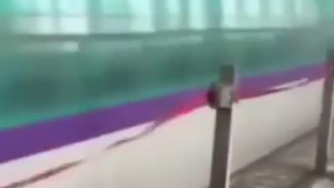 🤯✨ Discover the Fastest Train in the World at 1200km/h! | FeedMyCuriosity