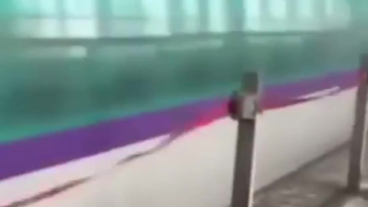 🤯✨ Discover the Fastest Train in the World at 1200km/h! | FeedMyCuriosity