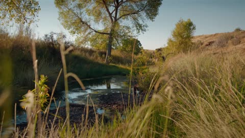 PSALM 065 // PRAISE AWAITS GOD IN ZION