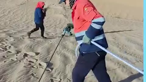 Tree Planting Experiment in the Harsh Desert