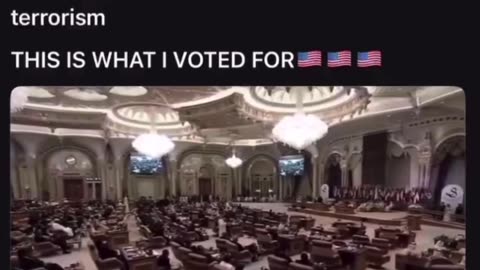 This is what I voted for