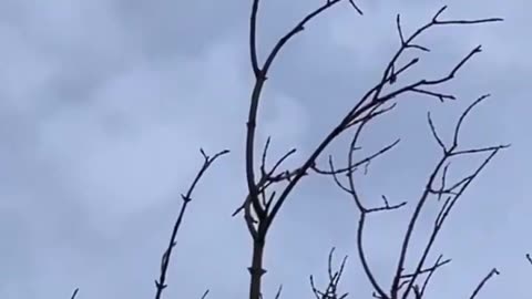 🚁⚡ Ukraine Russia War | Ukrainian Interceptor Drone Downs Iranian-Russian Shahed UAV | RCF