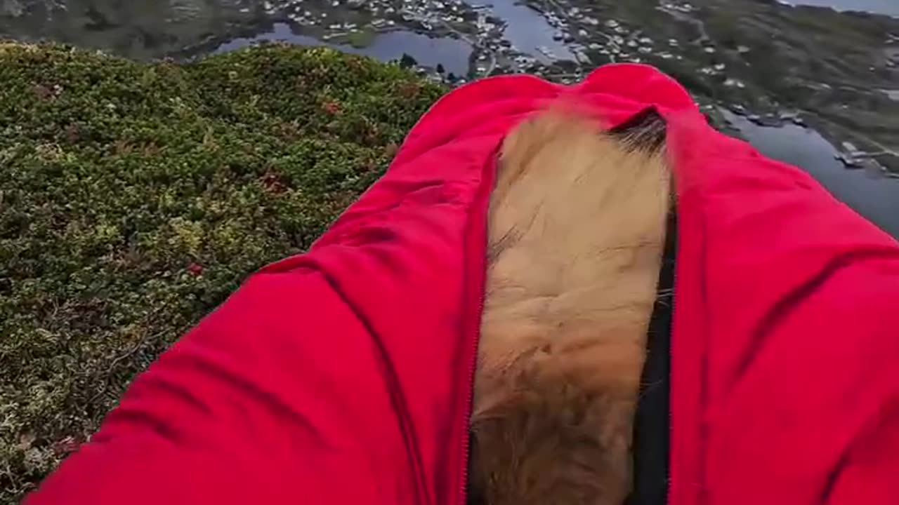 Lifehack - Bring a sleeping bag on your hike