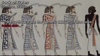 The Descendants Of Ham Were White