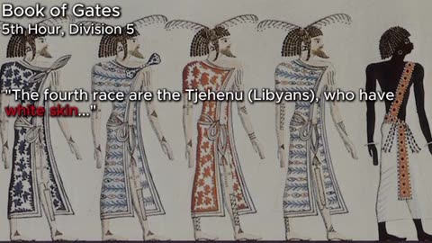 The Descendants Of Ham Were White